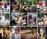 Mask Study - Dog Lovers Edition