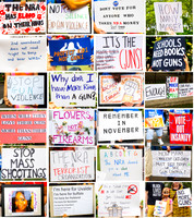 Some Protest signs