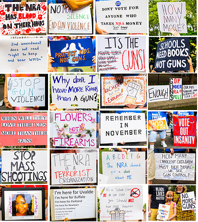 Some Protest signs